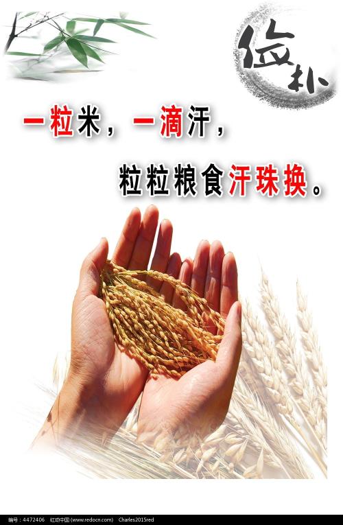 怎么买假的美国海军学院成绩单